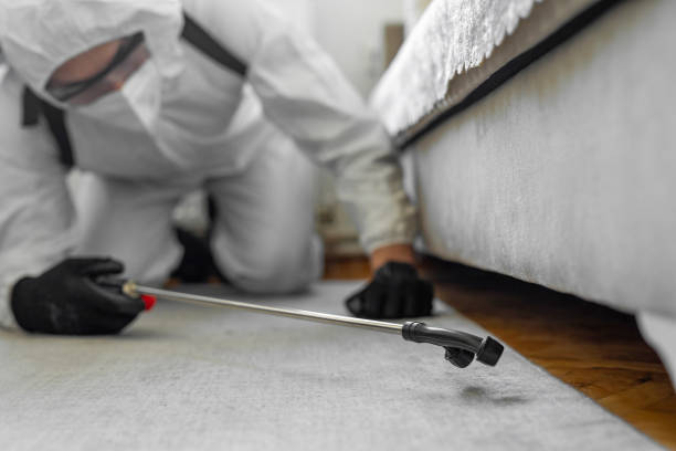 Professional Bed Bug Control technician working in Ventnor City, NJ