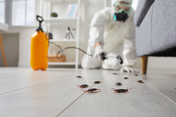 Trusted Fumigation Services service in Ventnor City, NJ - Nex Pest Control